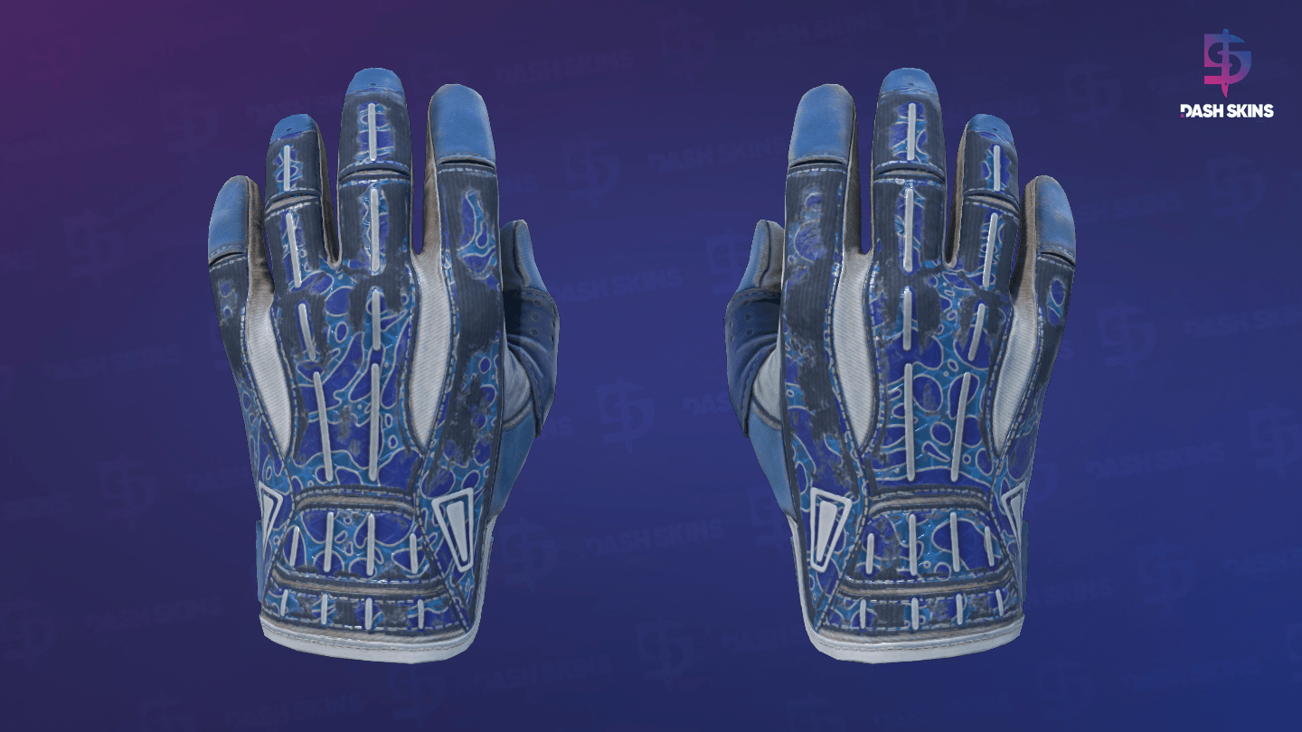 ★ Sport Gloves | Amphibious (Battle-Scarred) Screenshot Playside