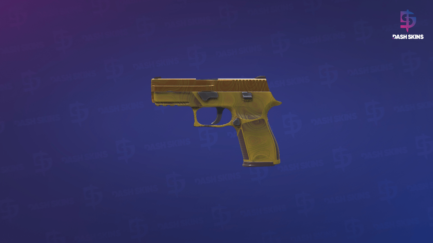 P250 | Sedimentary (Factory New) Screenshot Playside