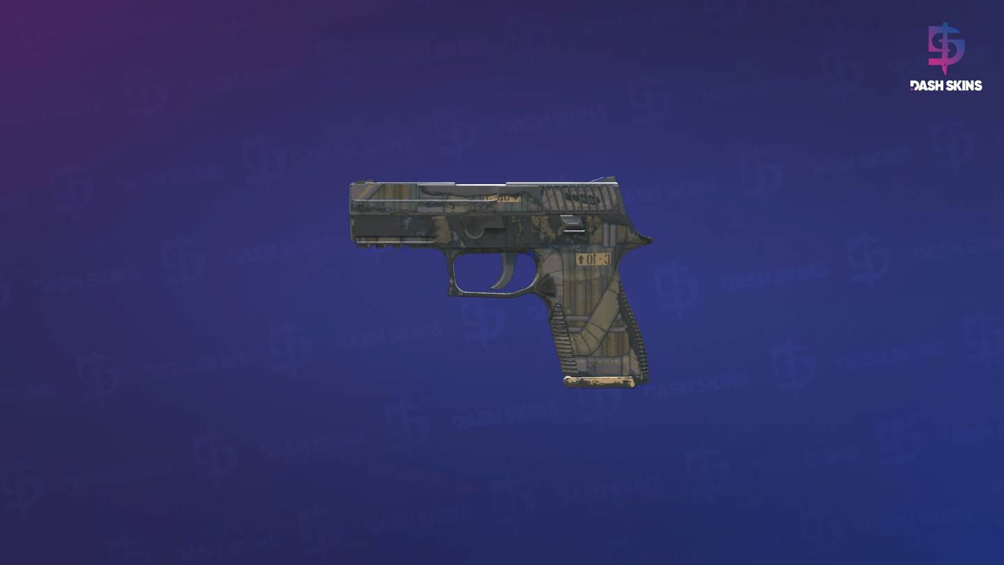 P250 | Exchanger (Field-Tested) Screenshot Playside