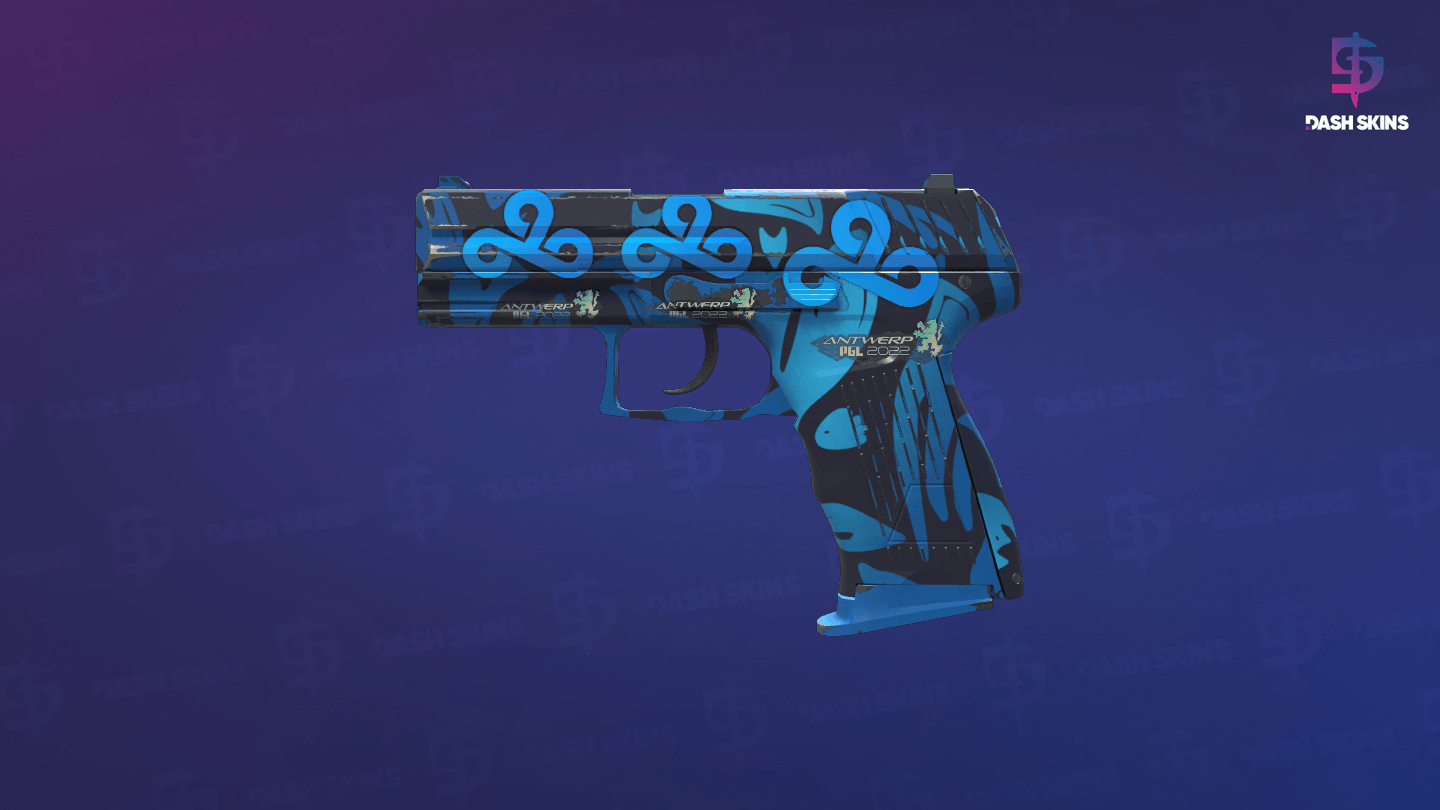 P2000 | Oceanic (Factory New) Screenshot Playside