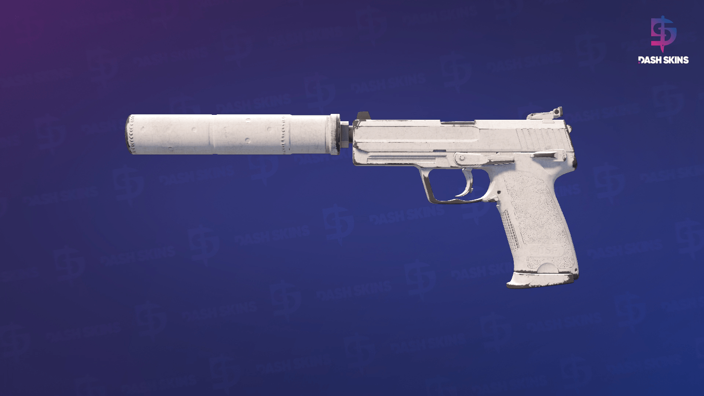 USP-S | Whiteout (Well-Worn) Screenshot Playside