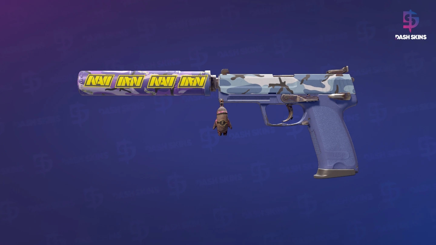 USP-S | Alpine Camo (Field-Tested) Screenshot Playside