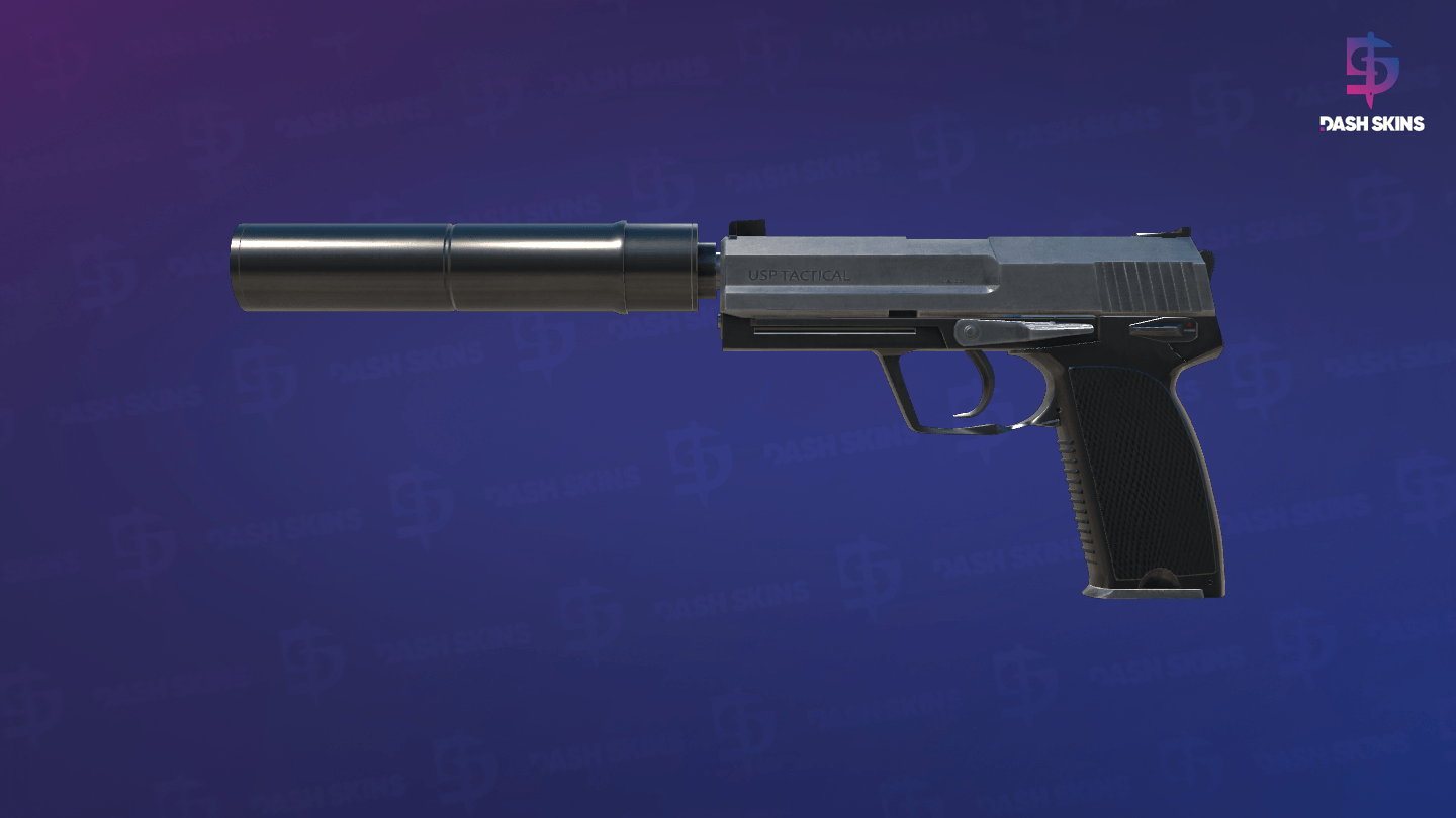 USP-S | Stainless (Field-Tested) Screenshot Playside