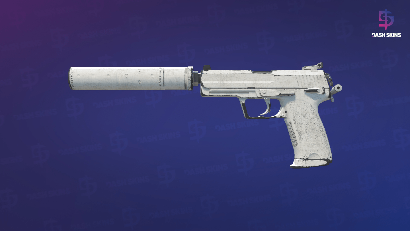 USP-S | Whiteout (Well-Worn) Screenshot Playside