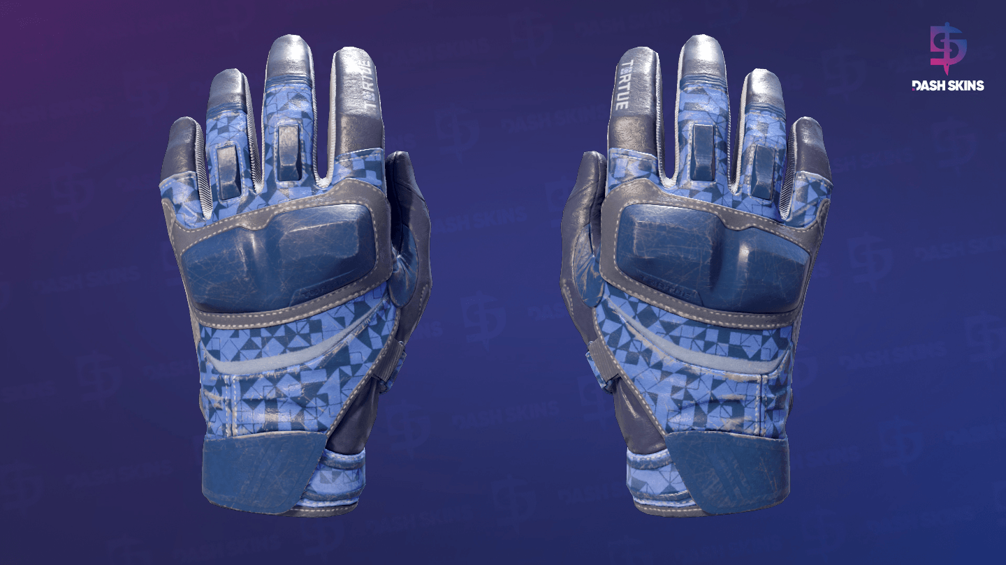 ★ Moto Gloves | Polygon (Field-Tested) Screenshot Playside