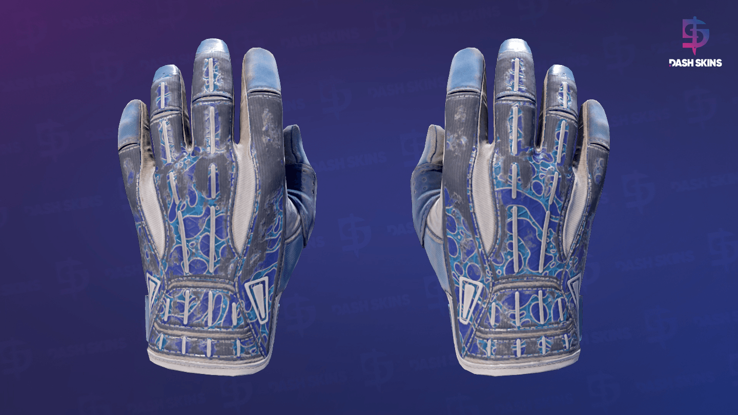 ★ Sport Gloves | Amphibious (Battle-Scarred) Screenshot Playside