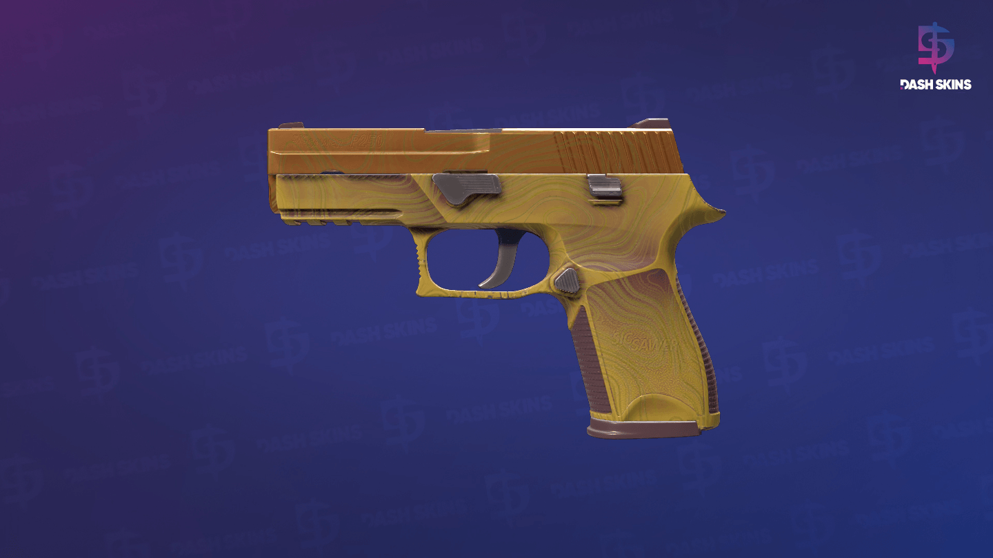 P250 | Sedimentary (Factory New) Screenshot Playside