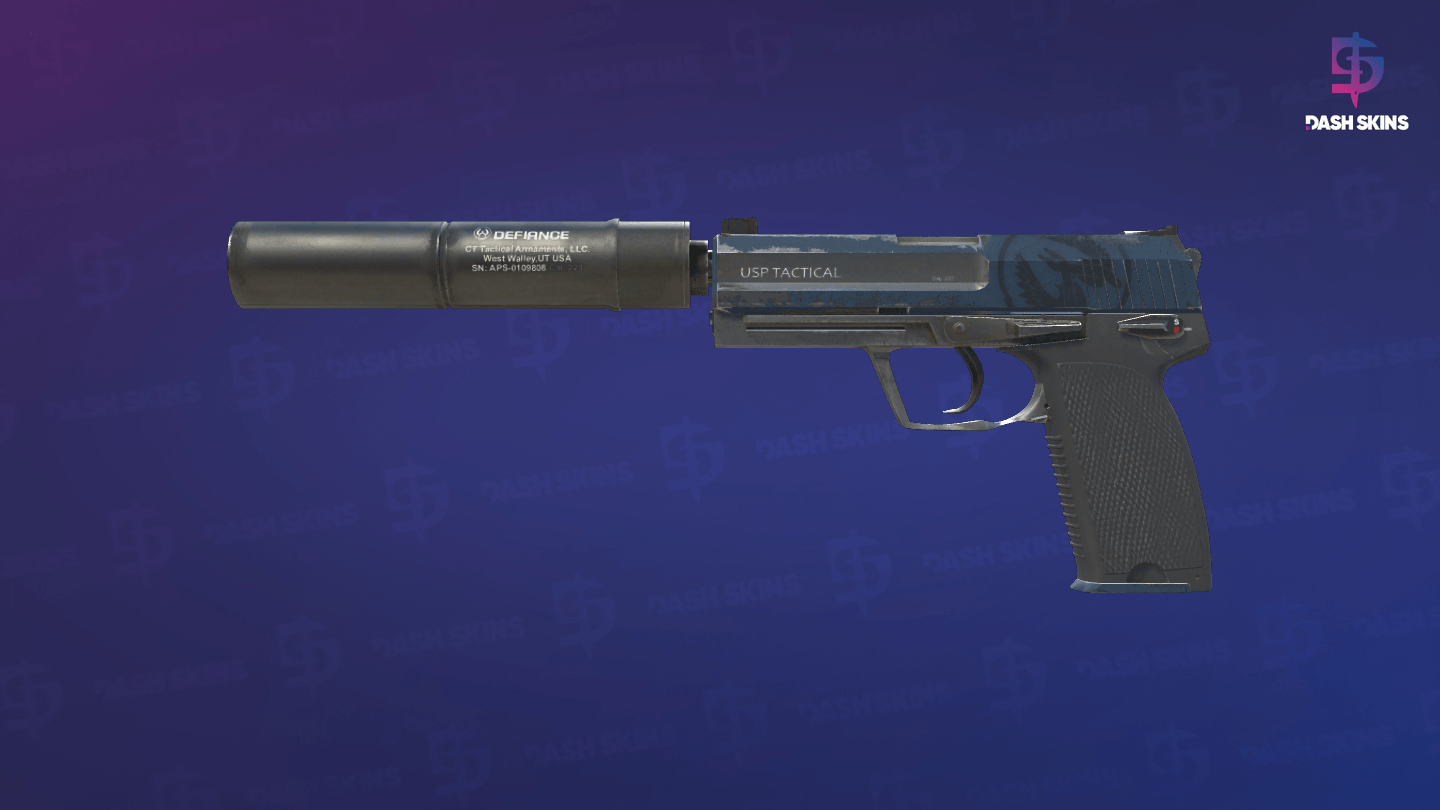 USP-S | Guardian (Field-Tested) Screenshot Playside