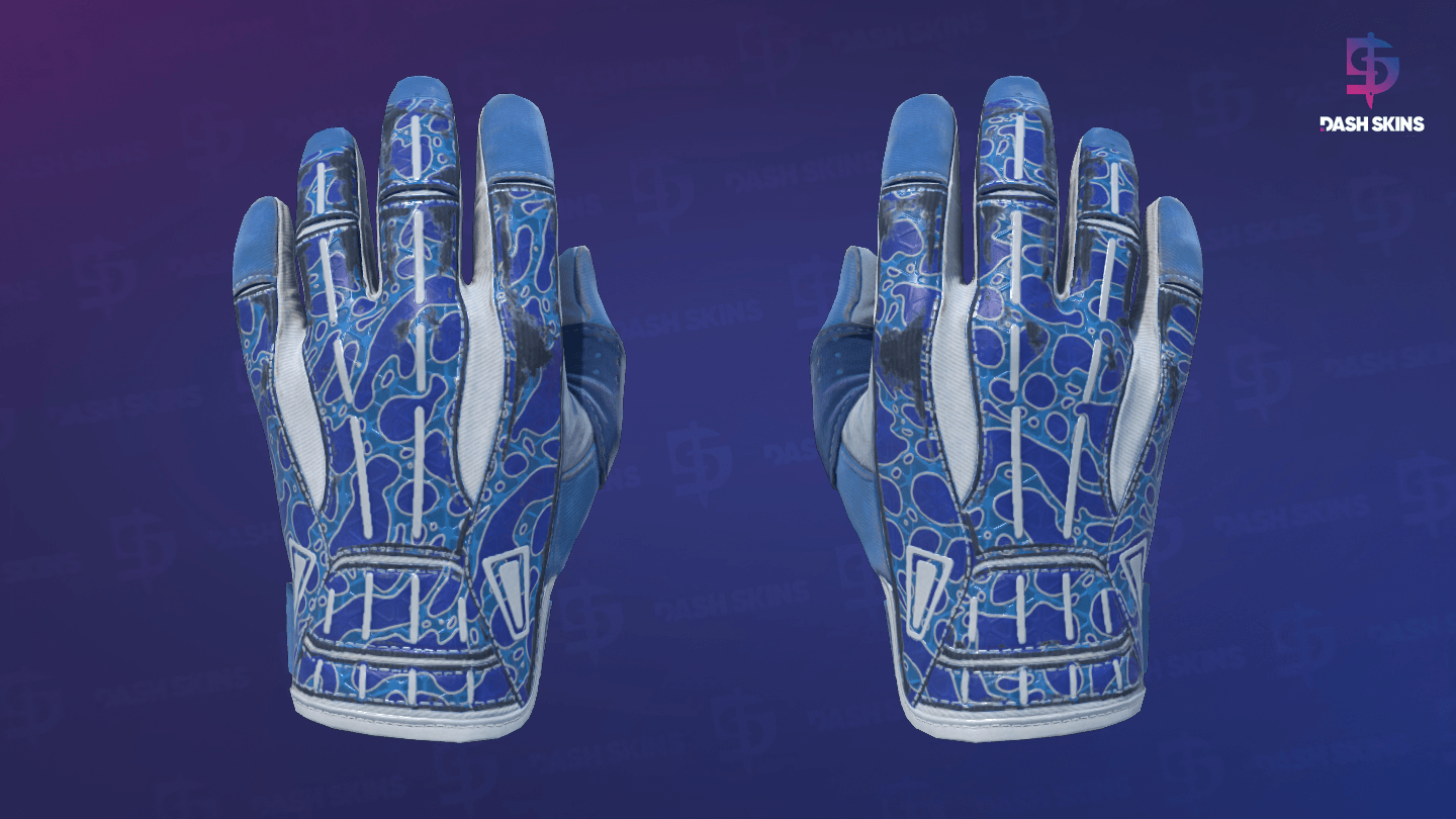 ★ Sport Gloves | Amphibious (Minimal Wear) Screenshot Playside