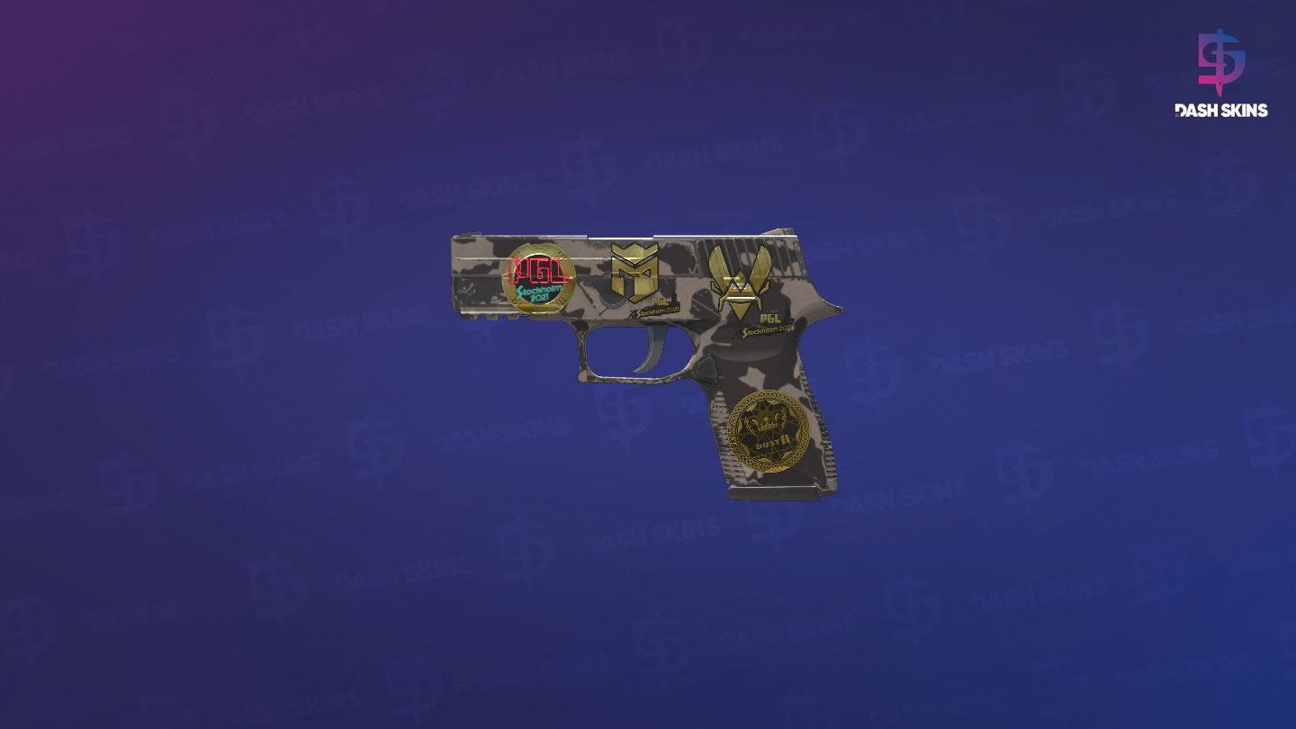 Souvenir P250 | Black & Tan (Field-Tested) Screenshot Playside
