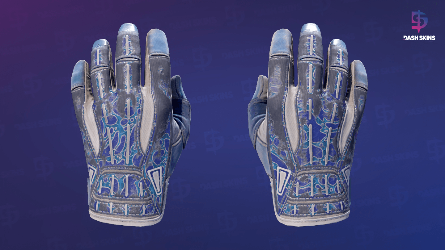 ★ Sport Gloves | Amphibious (Battle-Scarred) Screenshot Playside