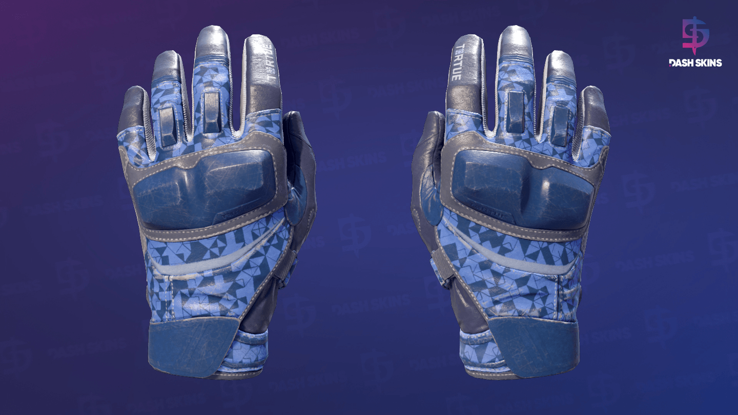 ★ Moto Gloves | Polygon (Field-Tested) Screenshot Playside