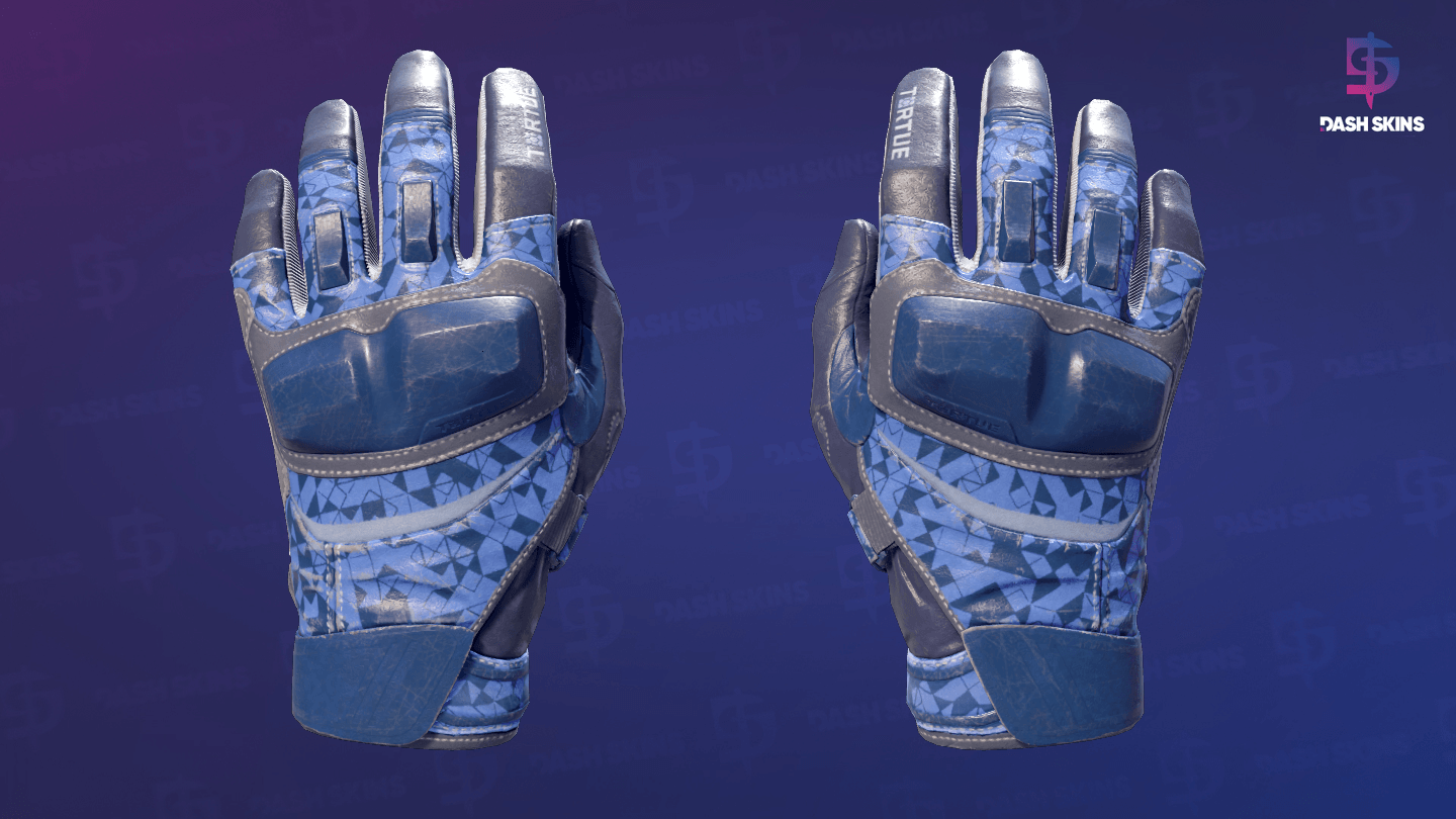★ Moto Gloves | Polygon (Field-Tested) Screenshot Playside