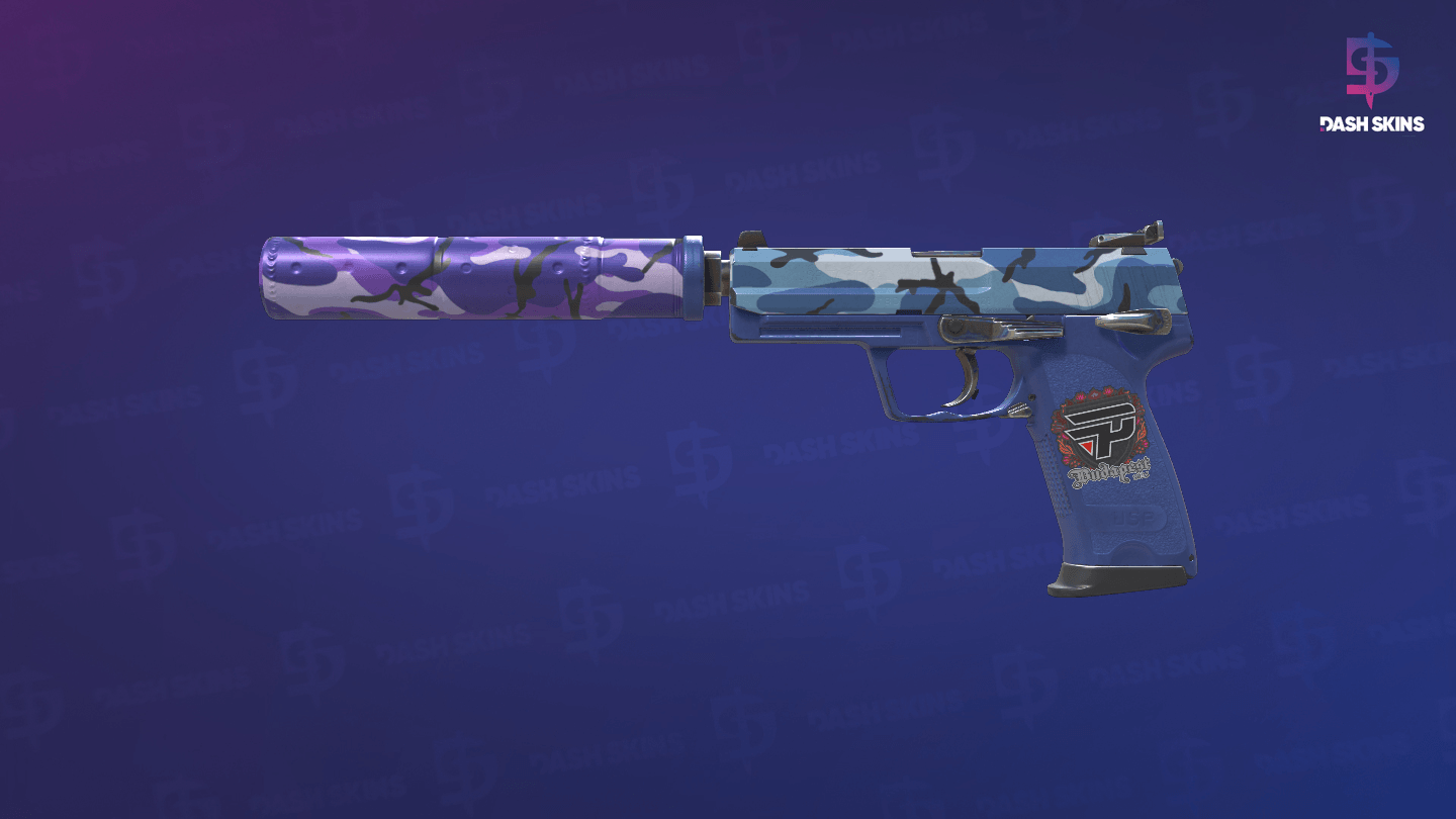 USP-S | Alpine Camo (Field-Tested) Screenshot Playside