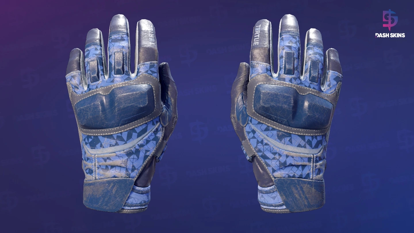 ★ Moto Gloves | Polygon (Field-Tested) Screenshot Playside