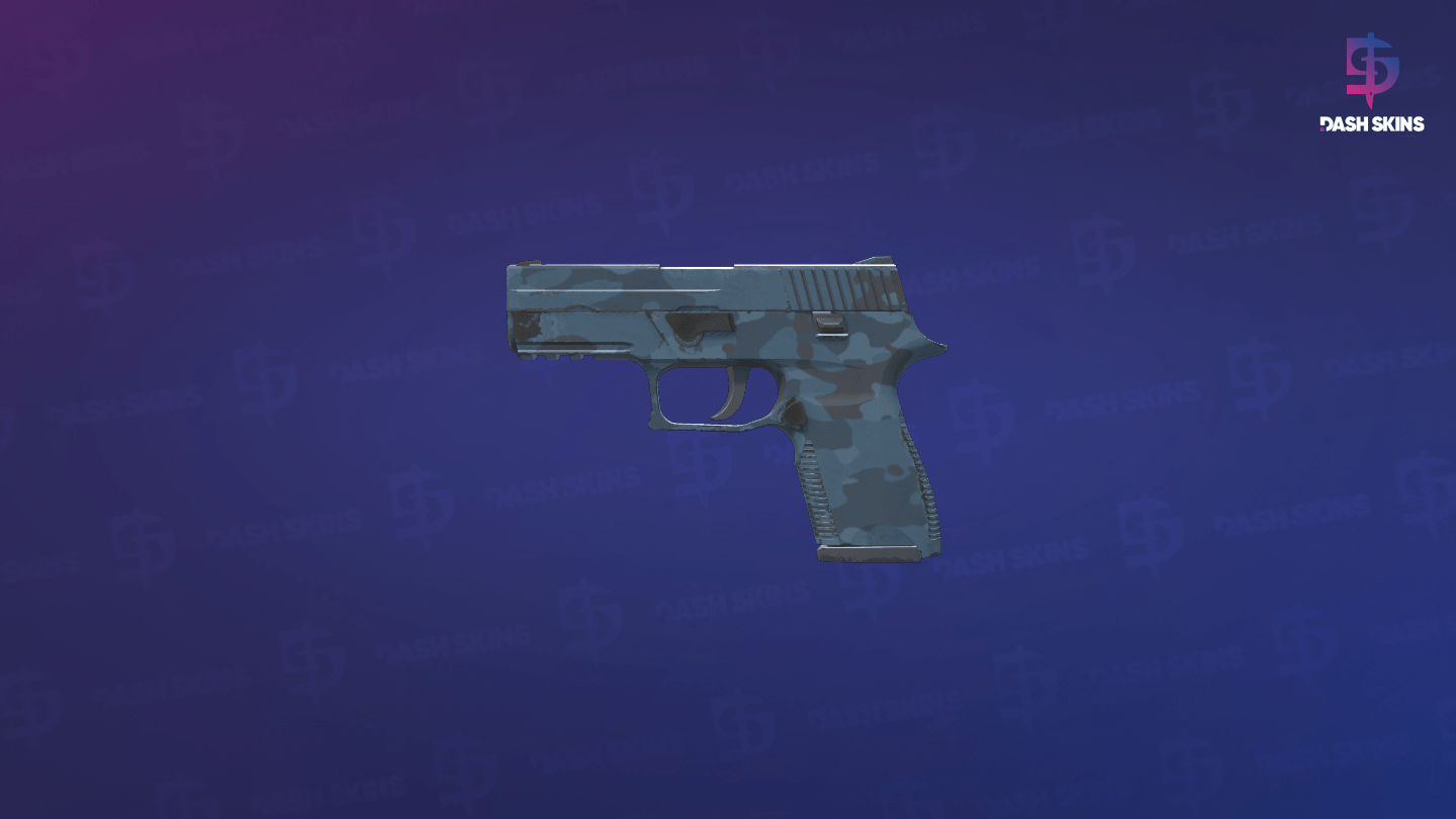 P250 | Forest Night (Minimal Wear) Screenshot Playside