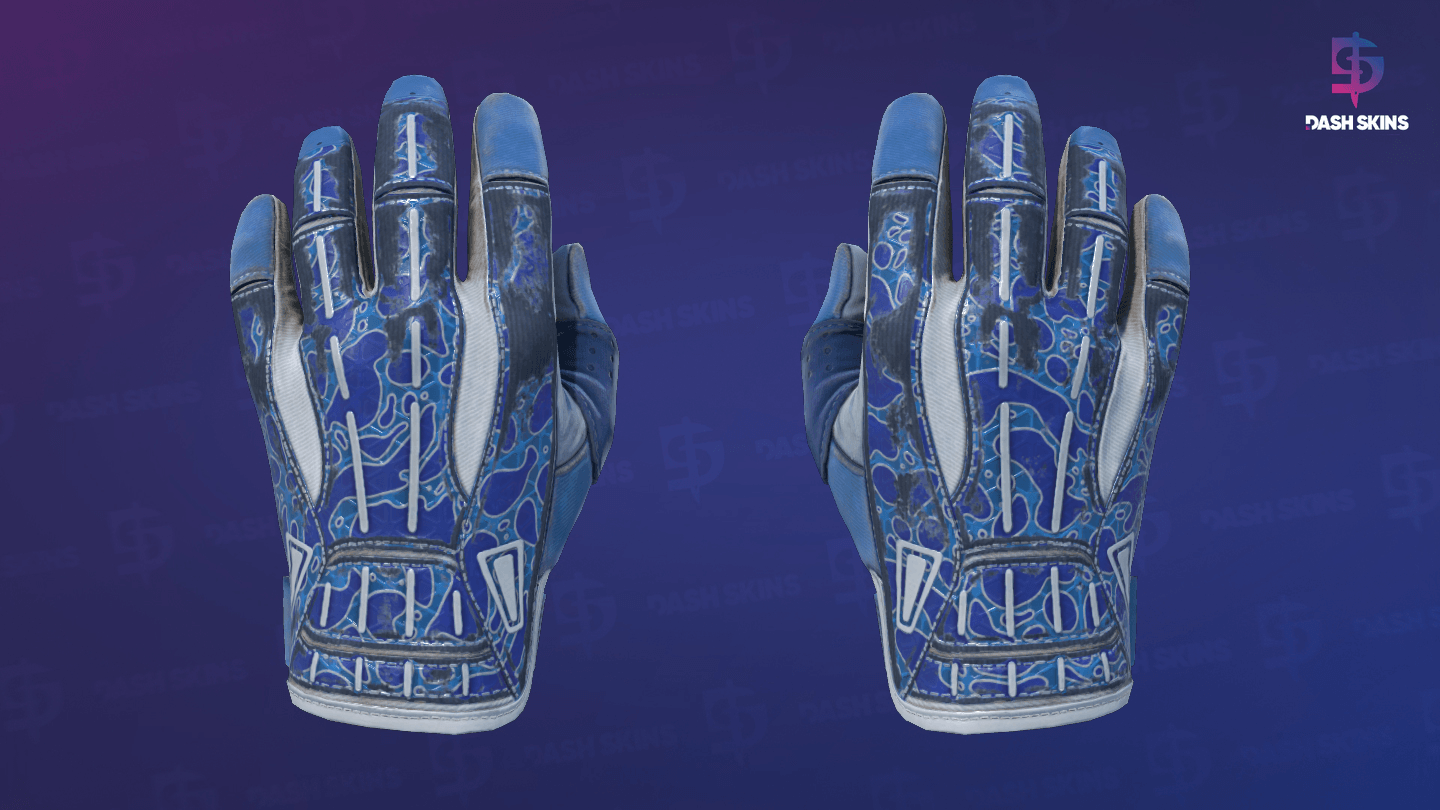 ★ Sport Gloves | Amphibious (Field-Tested) Screenshot Playside