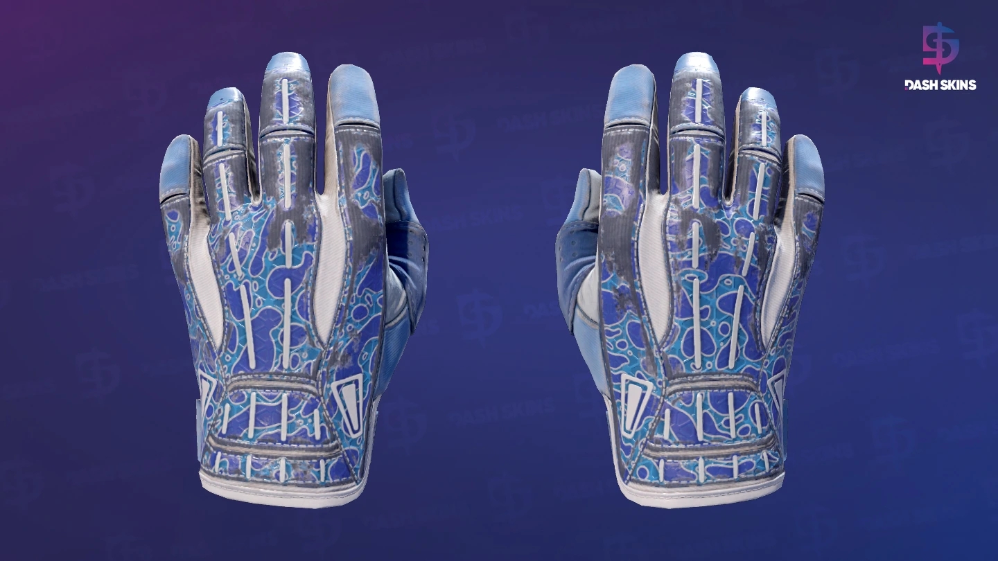 ★ Sport Gloves | Amphibious (Well-Worn) Screenshot Playside