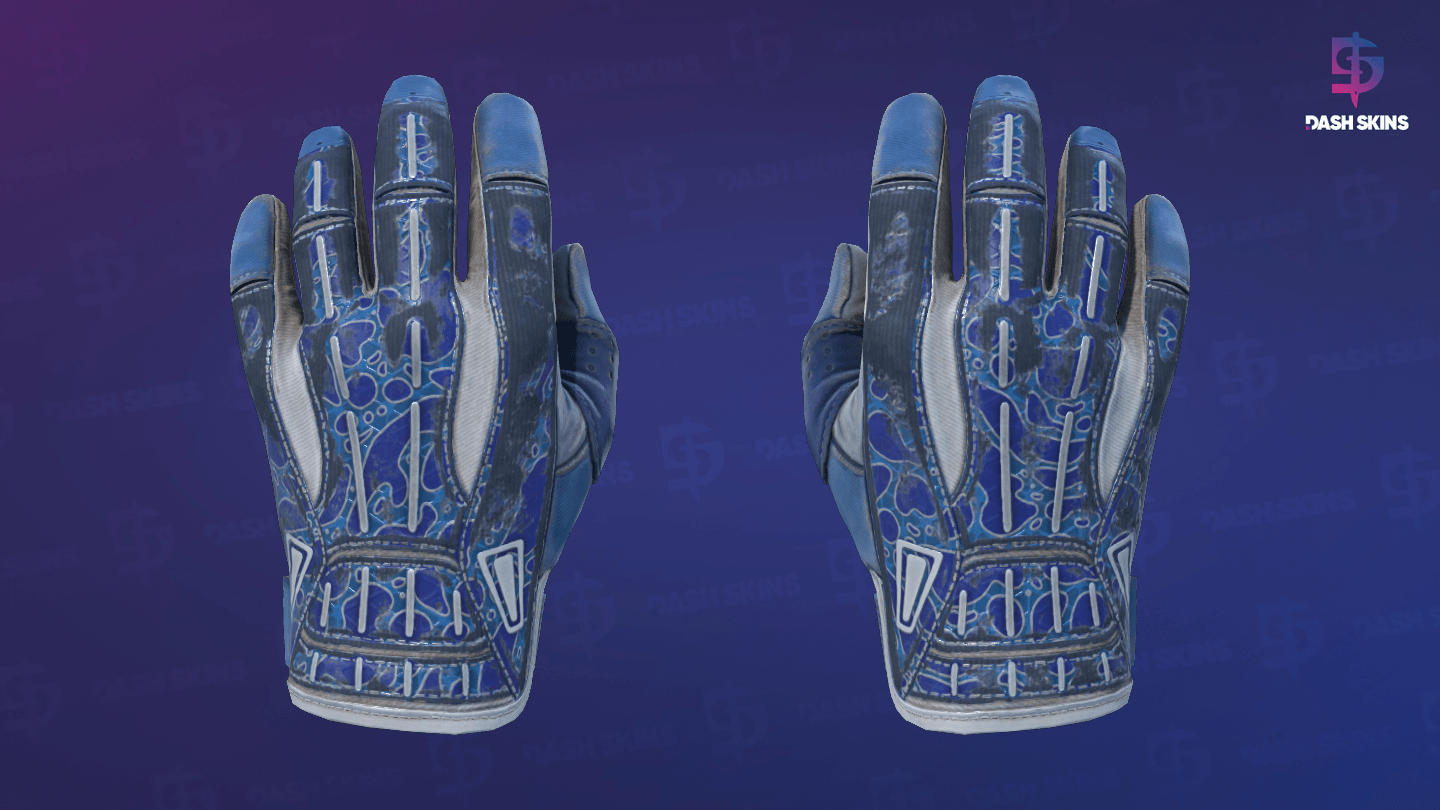 ★ Sport Gloves | Amphibious (Battle-Scarred) Screenshot Playside