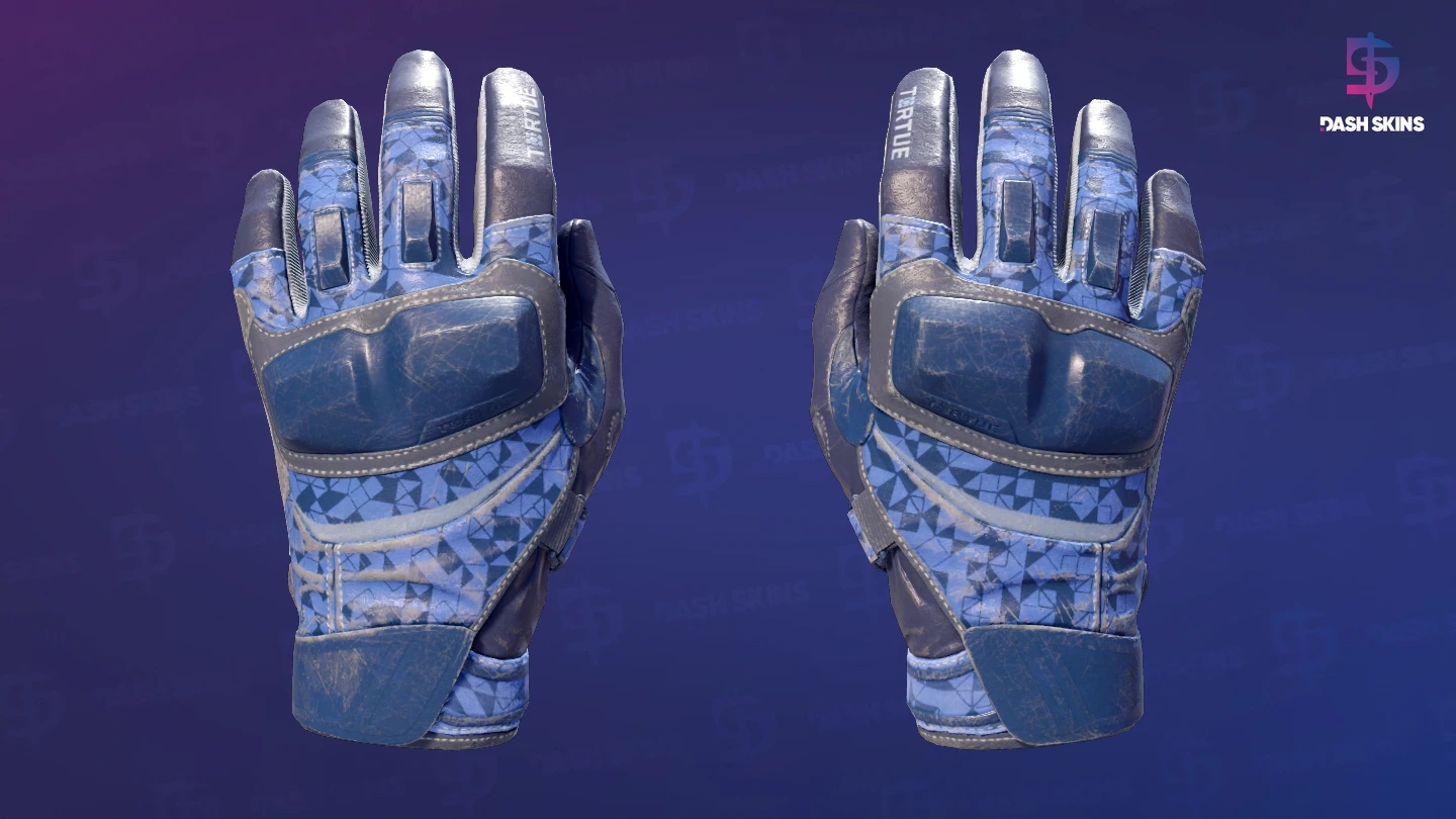 ★ Moto Gloves | Polygon (Field-Tested) Screenshot Playside
