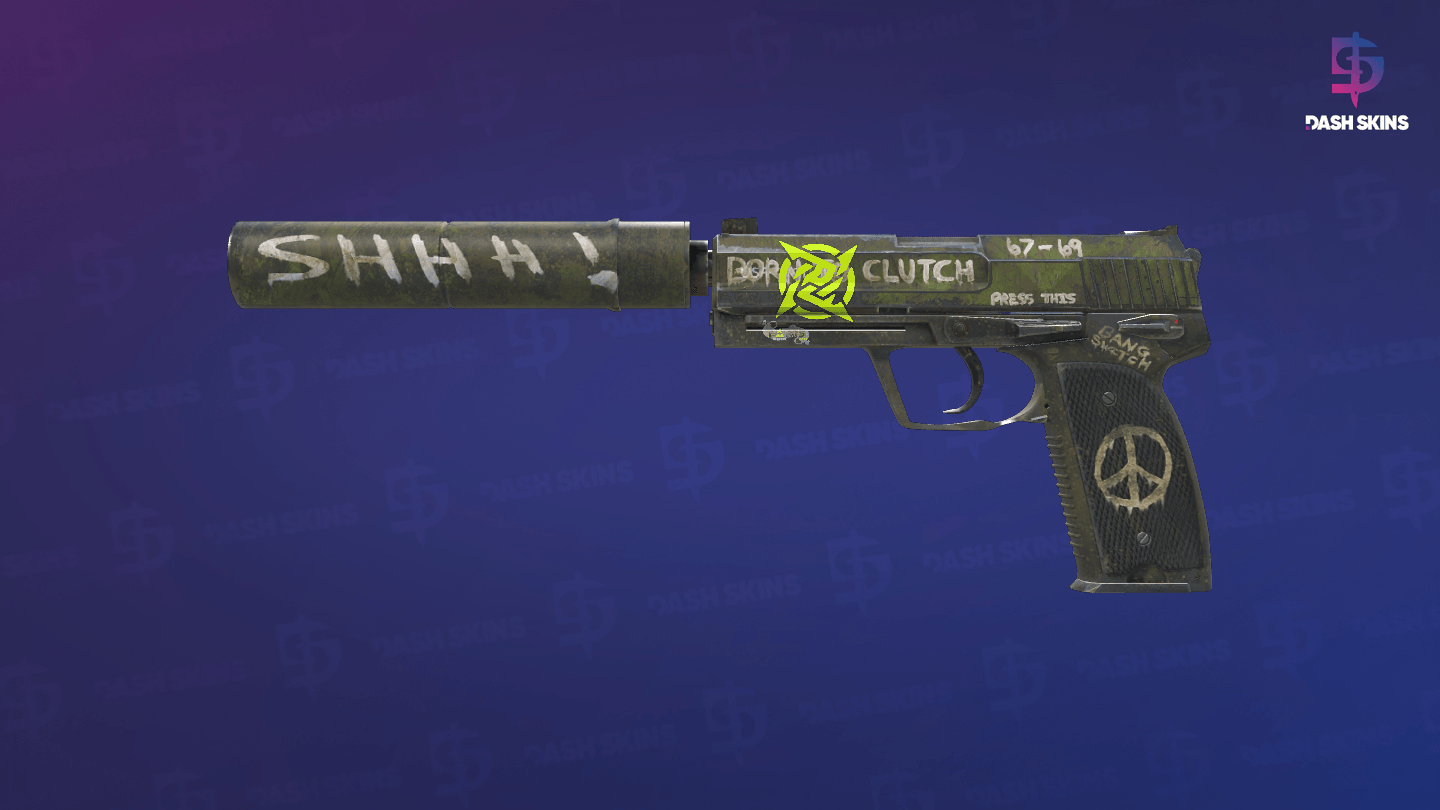 USP-S | Flashback (Field-Tested) Screenshot Playside