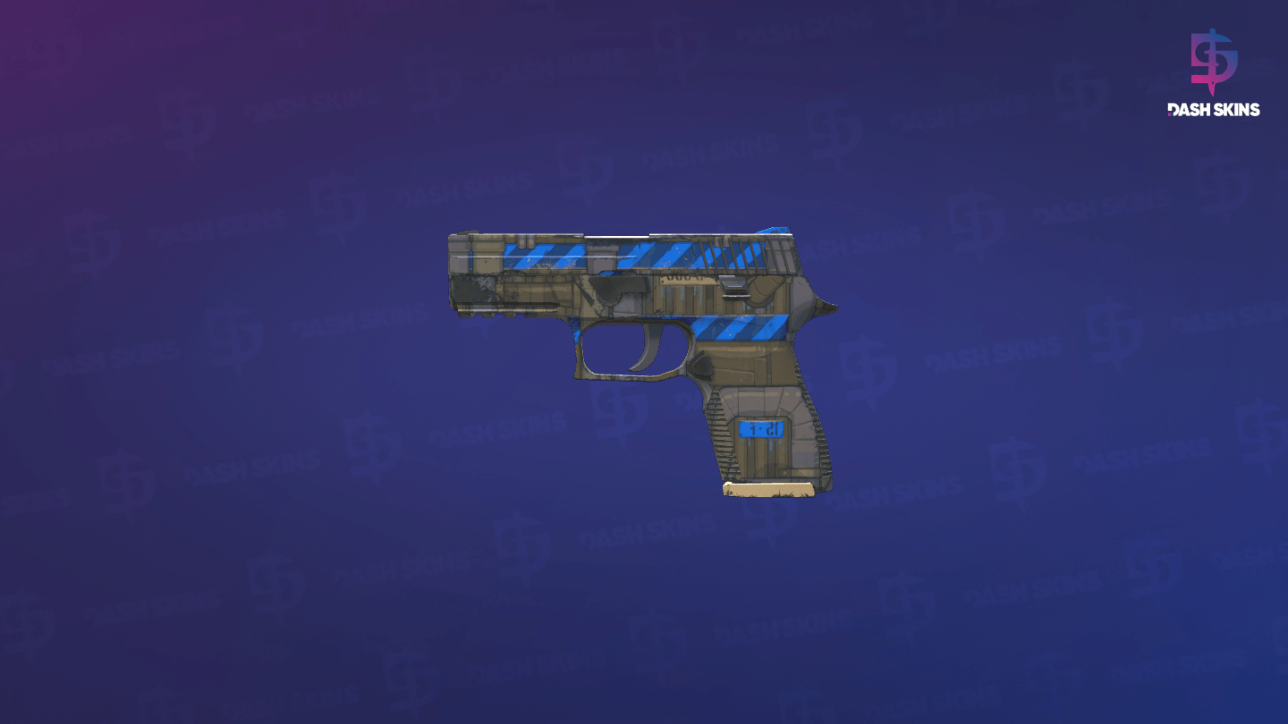 P250 | Exchanger (Minimal Wear) Screenshot Playside