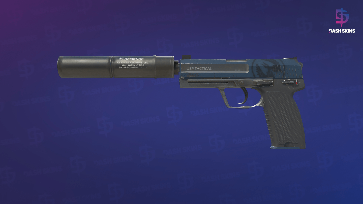 USP-S | Guardian (Field-Tested) Screenshot Playside