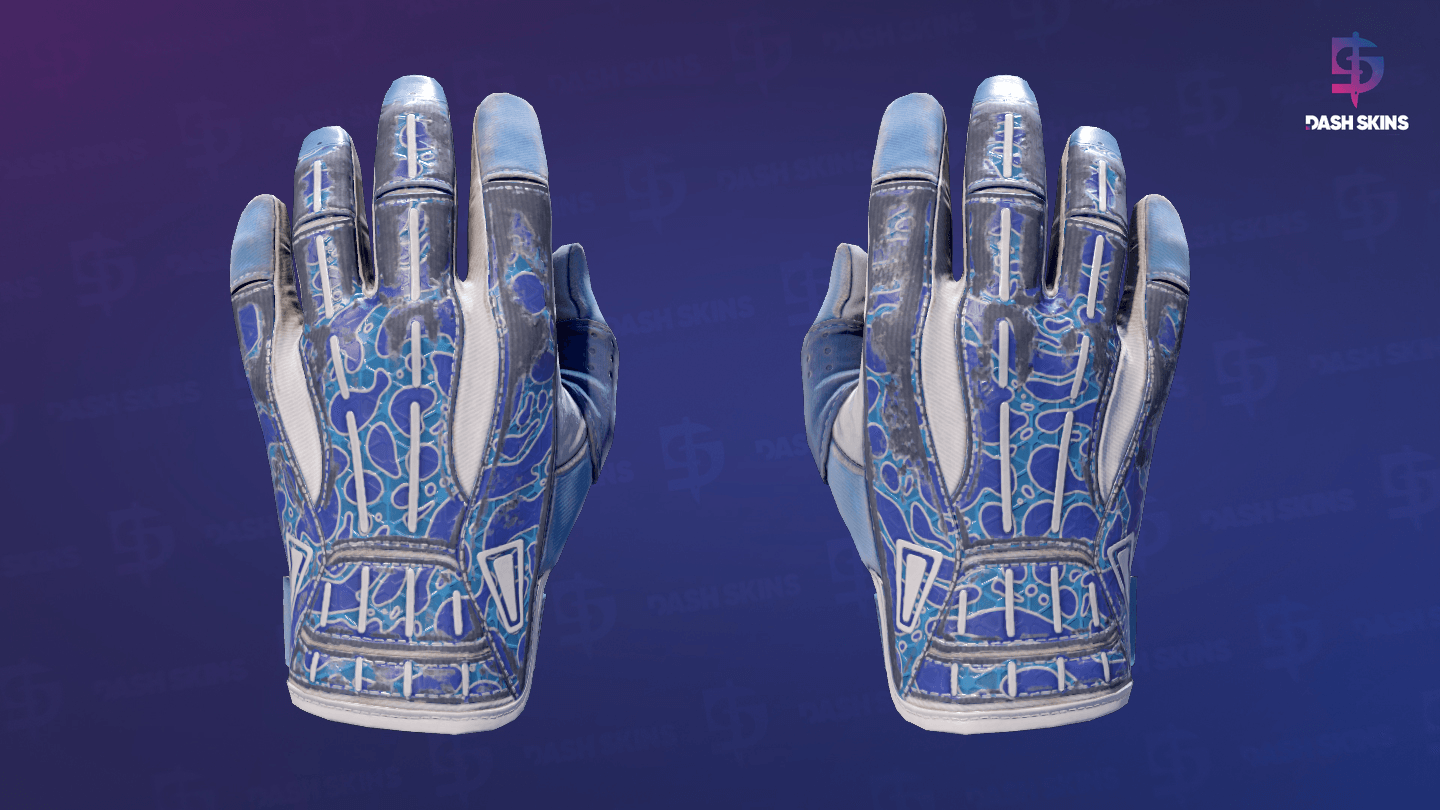 ★ Sport Gloves | Amphibious (Well-Worn) Screenshot Playside