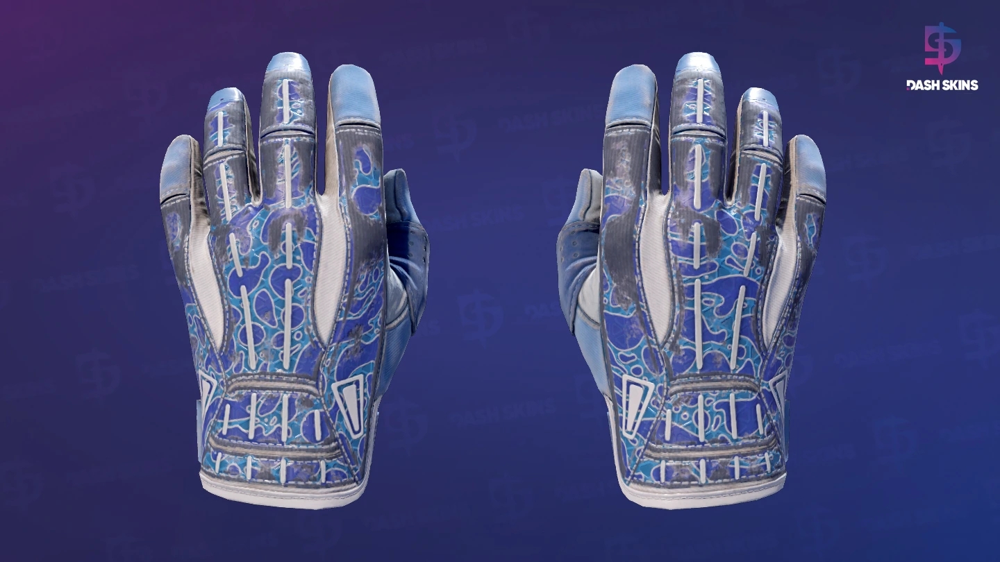 ★ Sport Gloves | Amphibious (Battle-Scarred) Screenshot Playside