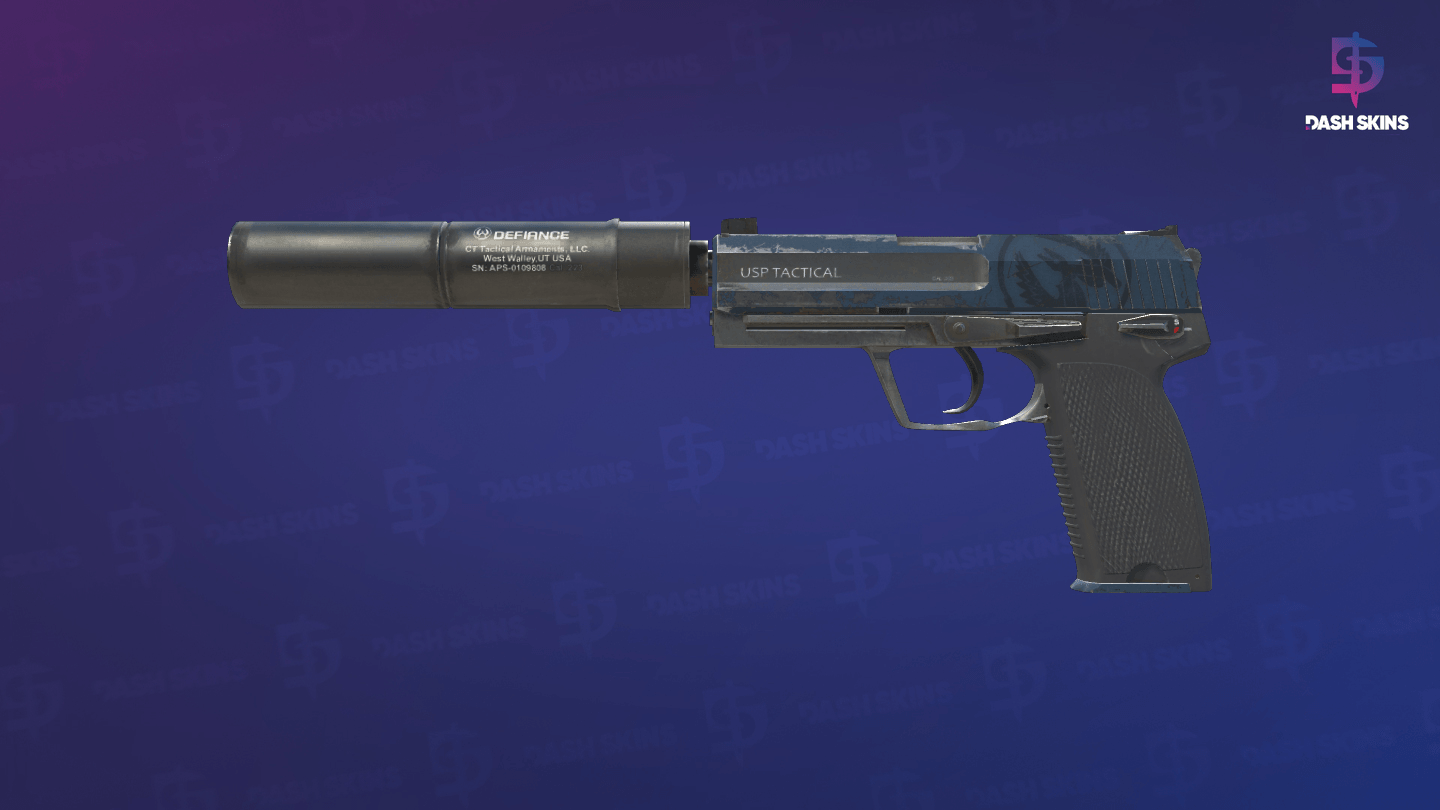 USP-S | Guardian (Field-Tested) Screenshot Playside
