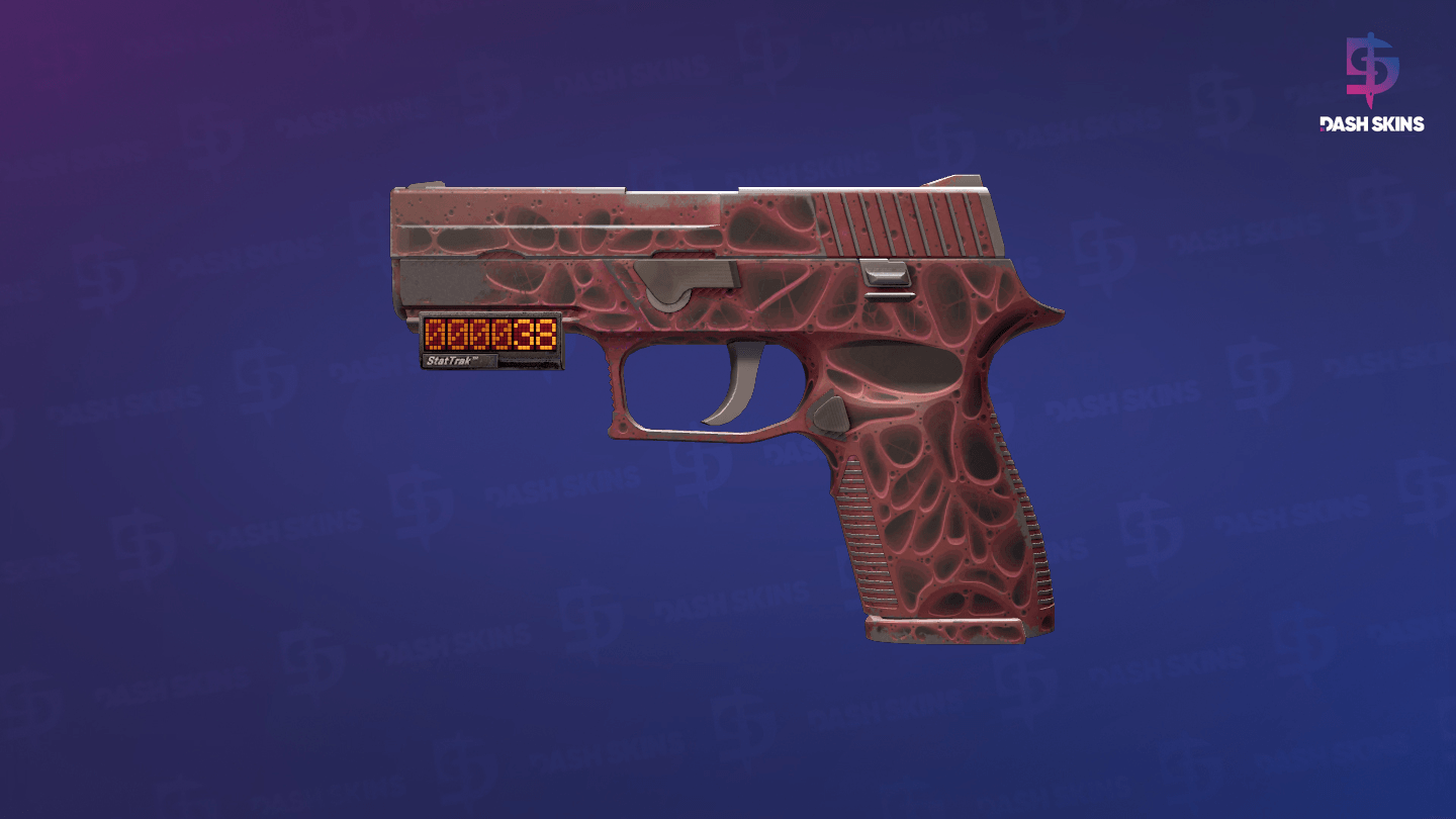 StatTrak™ P250 | Contaminant (Field-Tested) Screenshot Playside