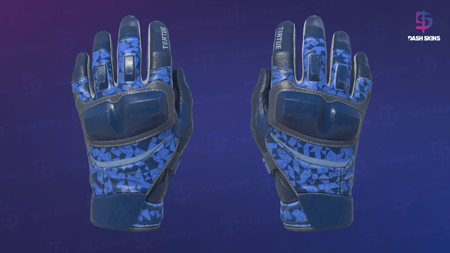 ★ Moto Gloves | Polygon (Field-Tested) Screenshot Playside