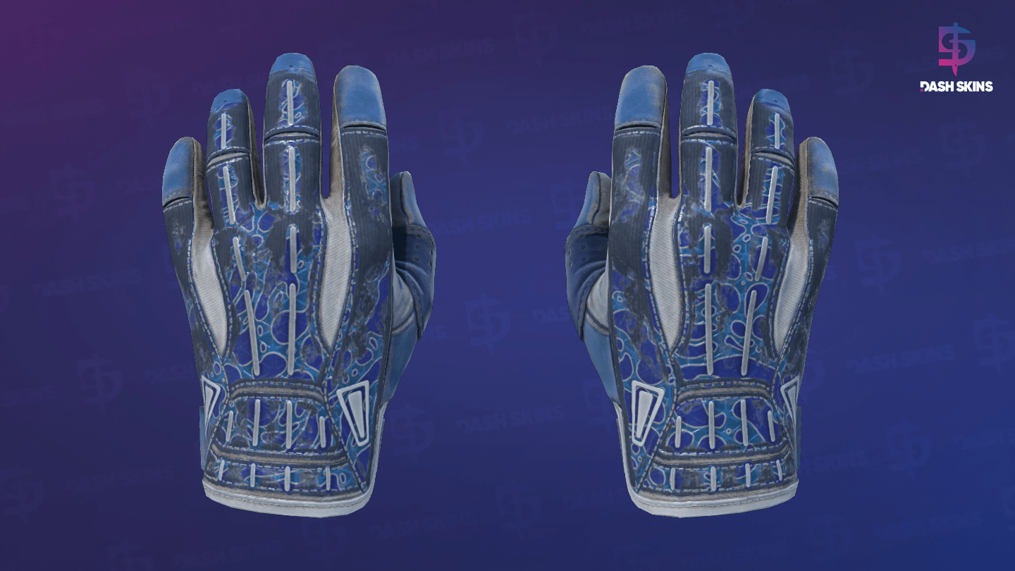 ★ Sport Gloves | Amphibious (Battle-Scarred) Screenshot Playside