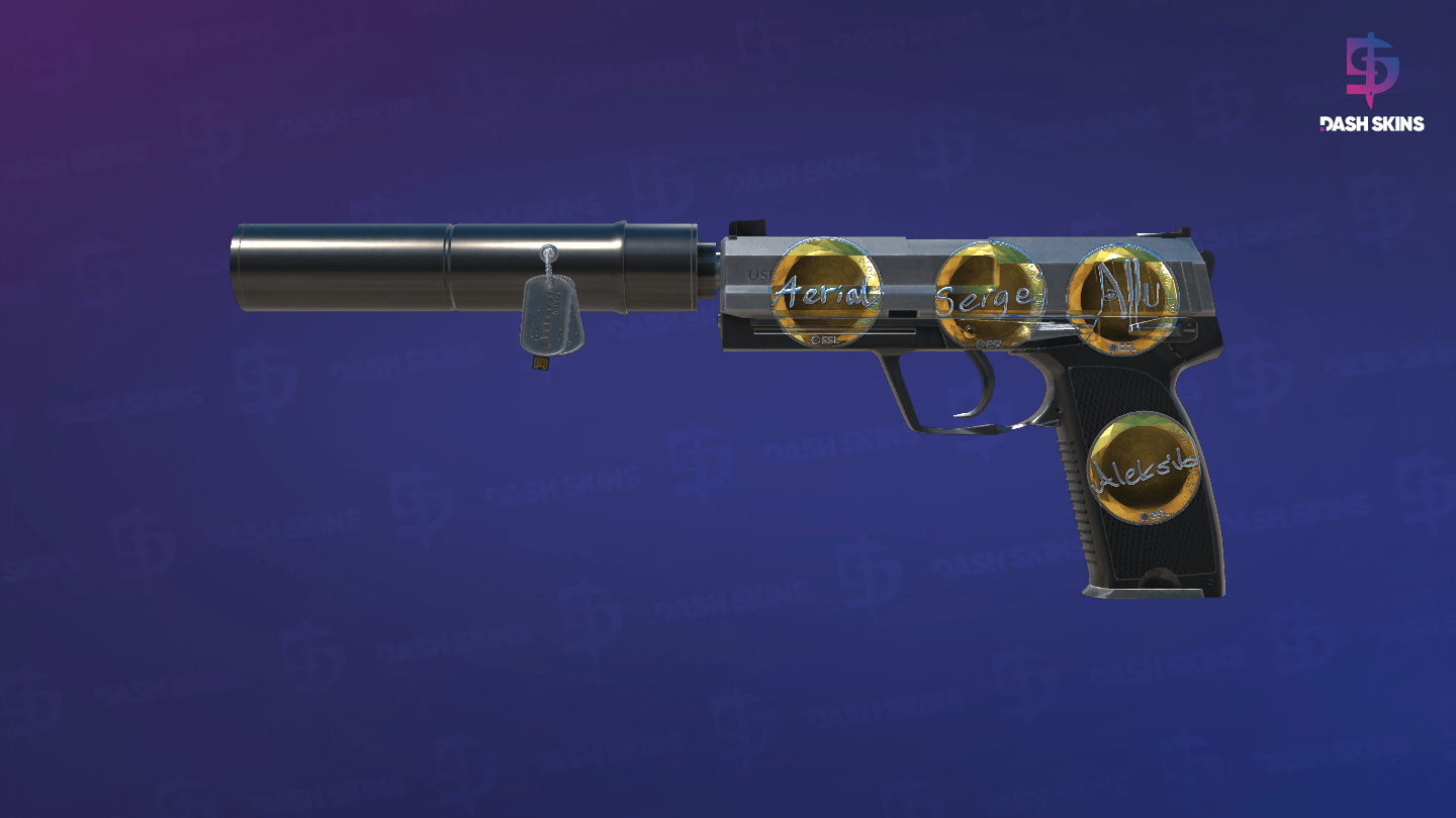 USP-S | Stainless (Field-Tested) Screenshot Playside