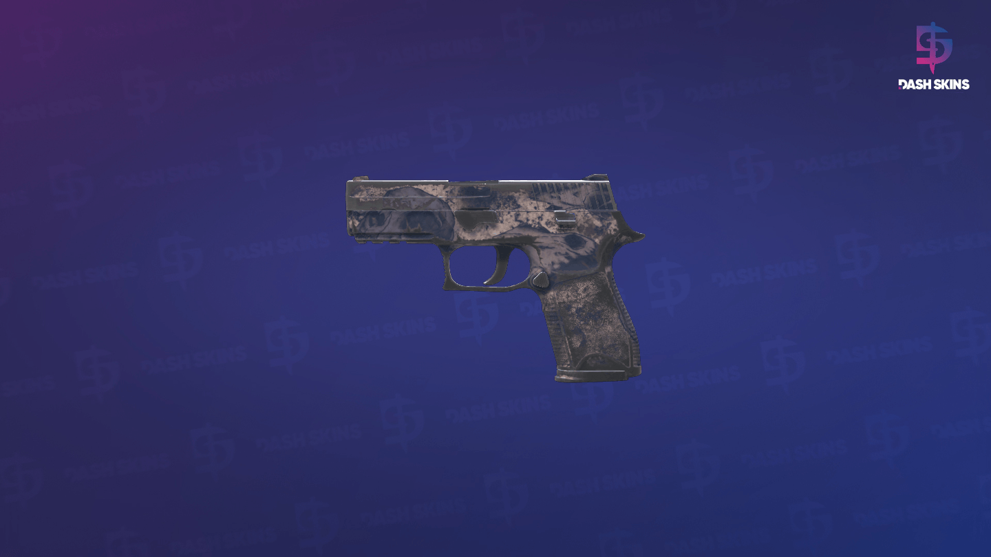 P250 | Drought (Well-Worn) Screenshot Playside