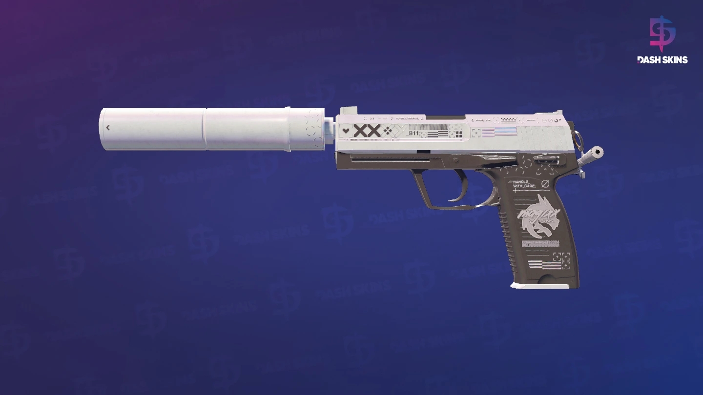 USP-S | Printstream (Field-Tested) Screenshot Playside