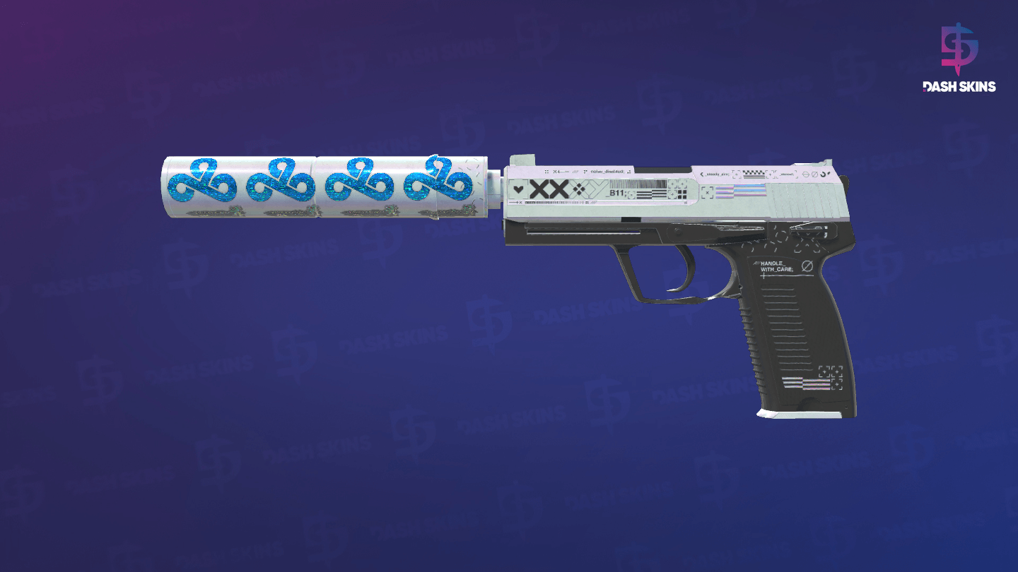 USP-S | Printstream (Field-Tested) Screenshot Playside