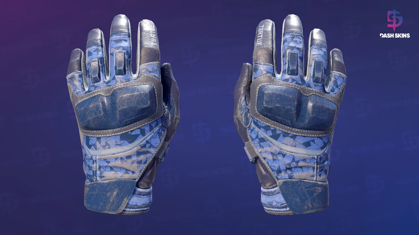 ★ Moto Gloves | Polygon (Well-Worn) Screenshot Playside