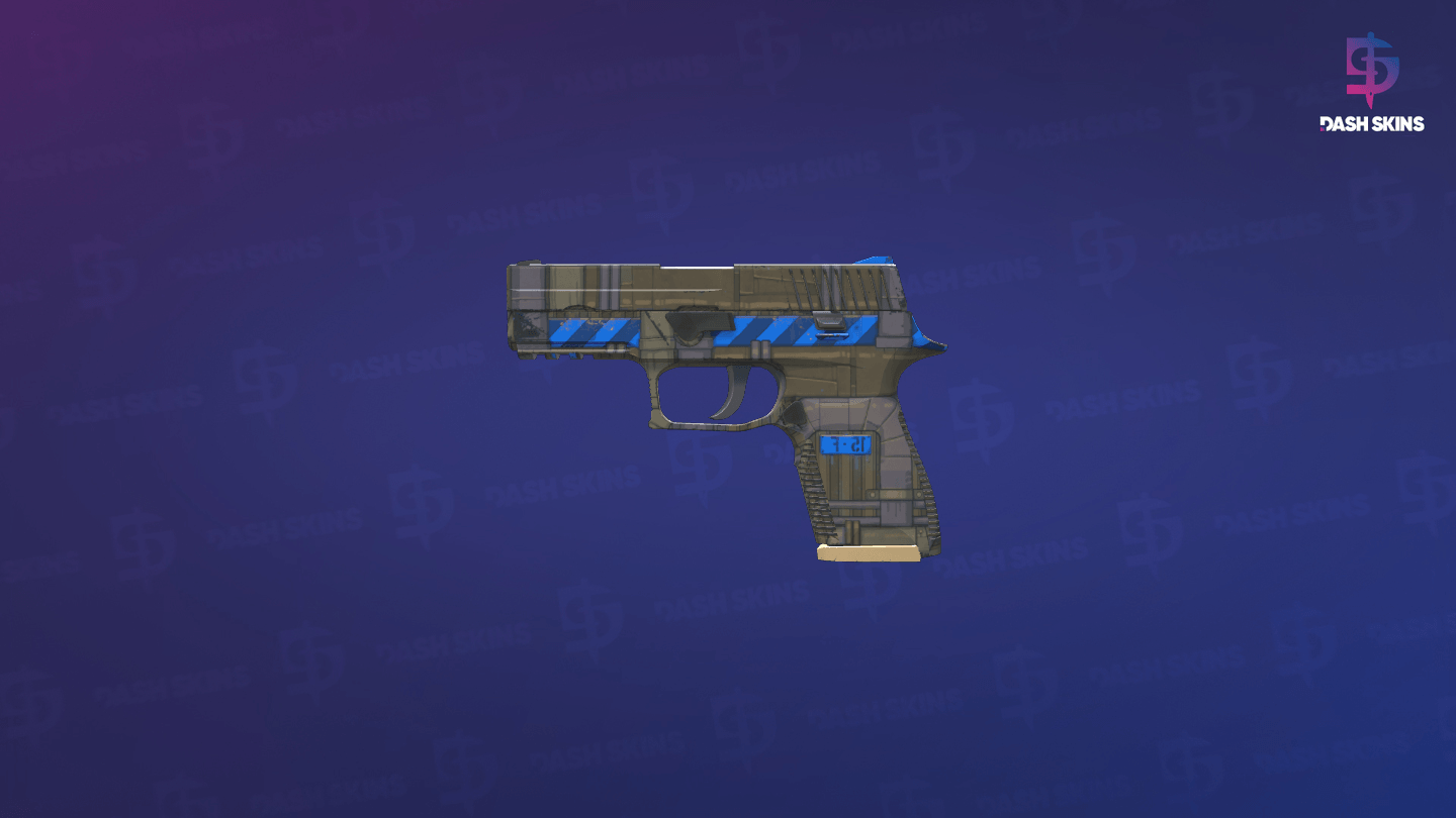 P250 | Exchanger (Factory New) Screenshot Playside