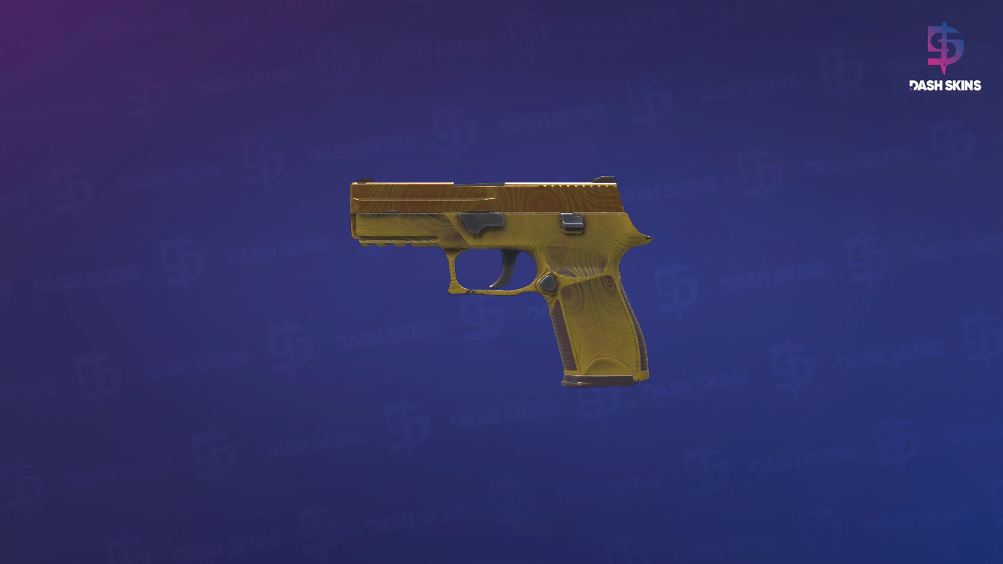 P250 | Sedimentary (Factory New) Screenshot Playside