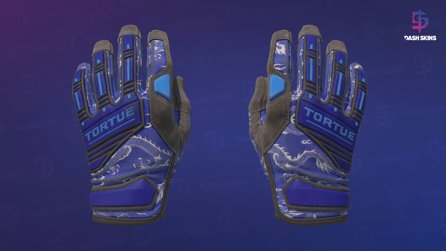 ★ Specialist Gloves | Cloud Chaser (Battle-Scarred) Screenshot Playside