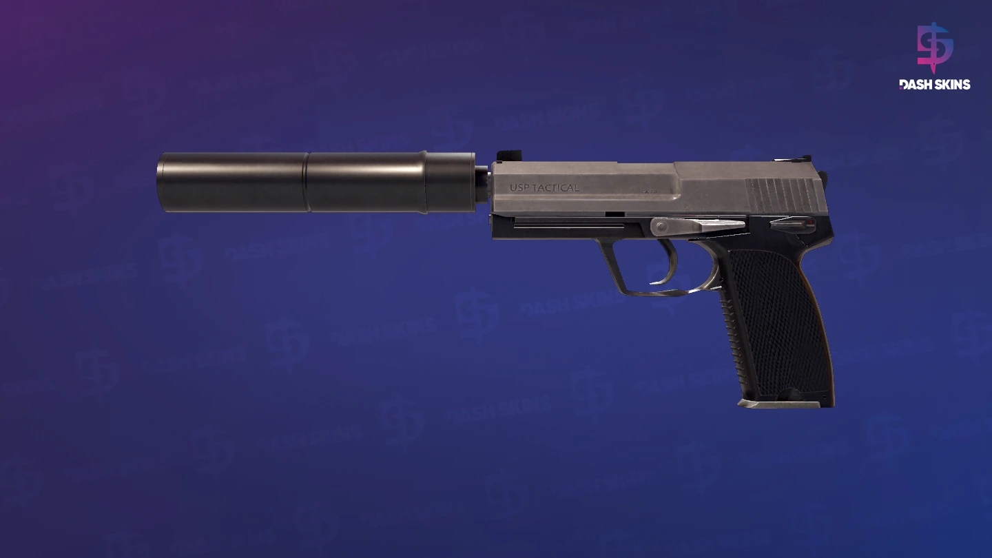 USP-S | Stainless (Field-Tested) Screenshot Playside