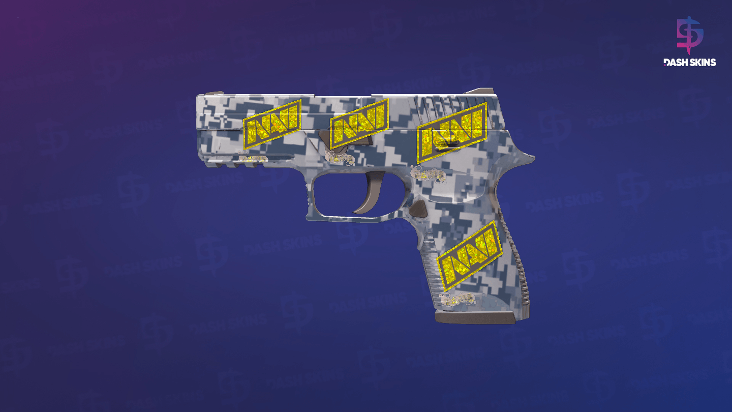 P250 | Steel Disruption (Factory New) Screenshot Playside
