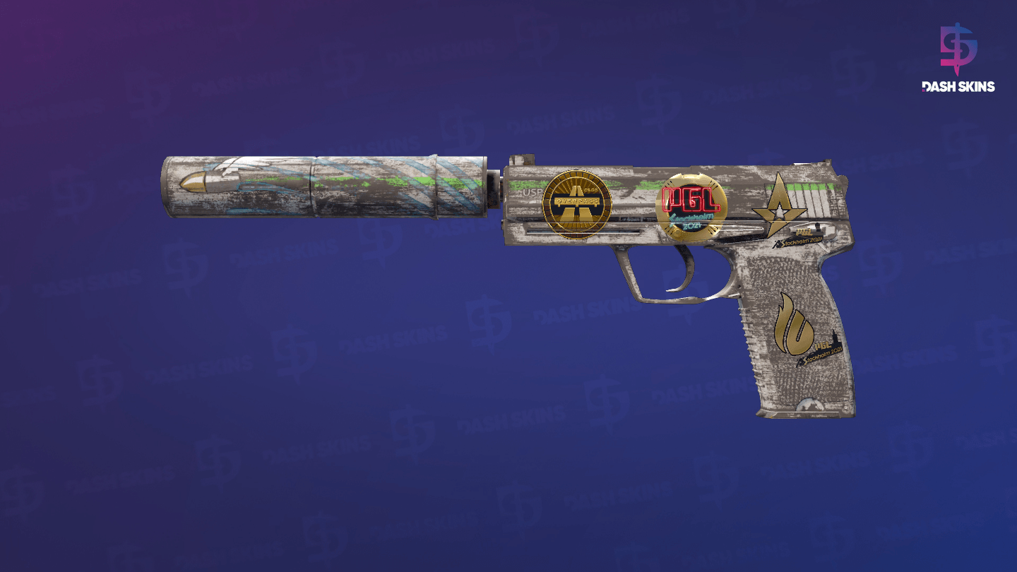 Souvenir USP-S | Road Rash (Battle-Scarred) Screenshot Playside