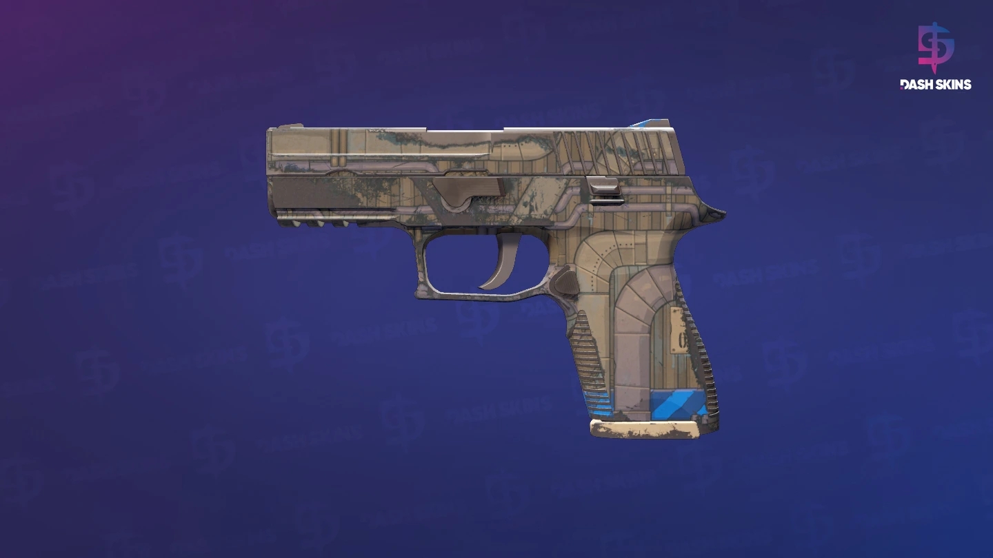 P250 | Exchanger (Field-Tested) Screenshot Playside