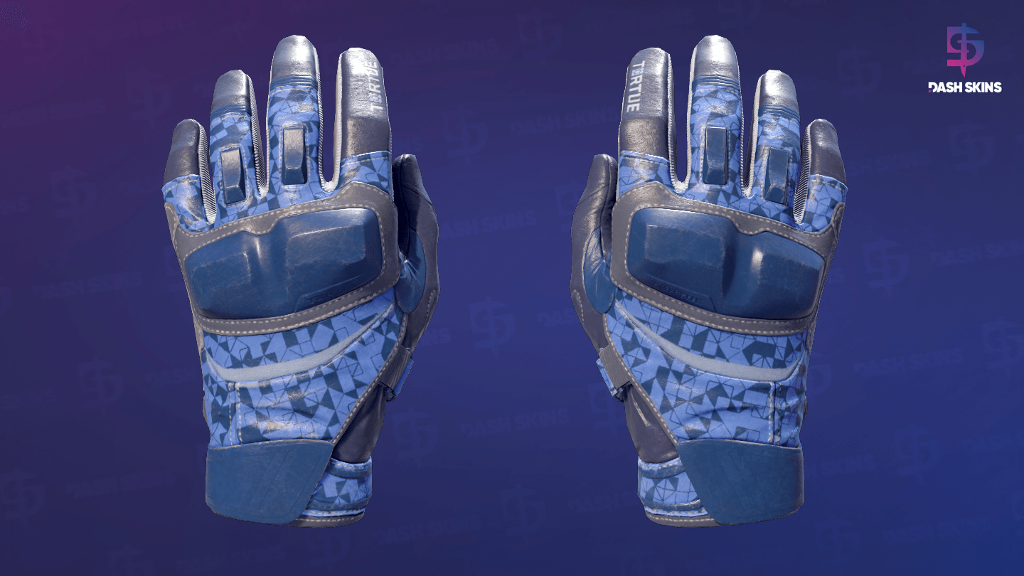 ★ Moto Gloves | Polygon (Field-Tested) Screenshot Playside
