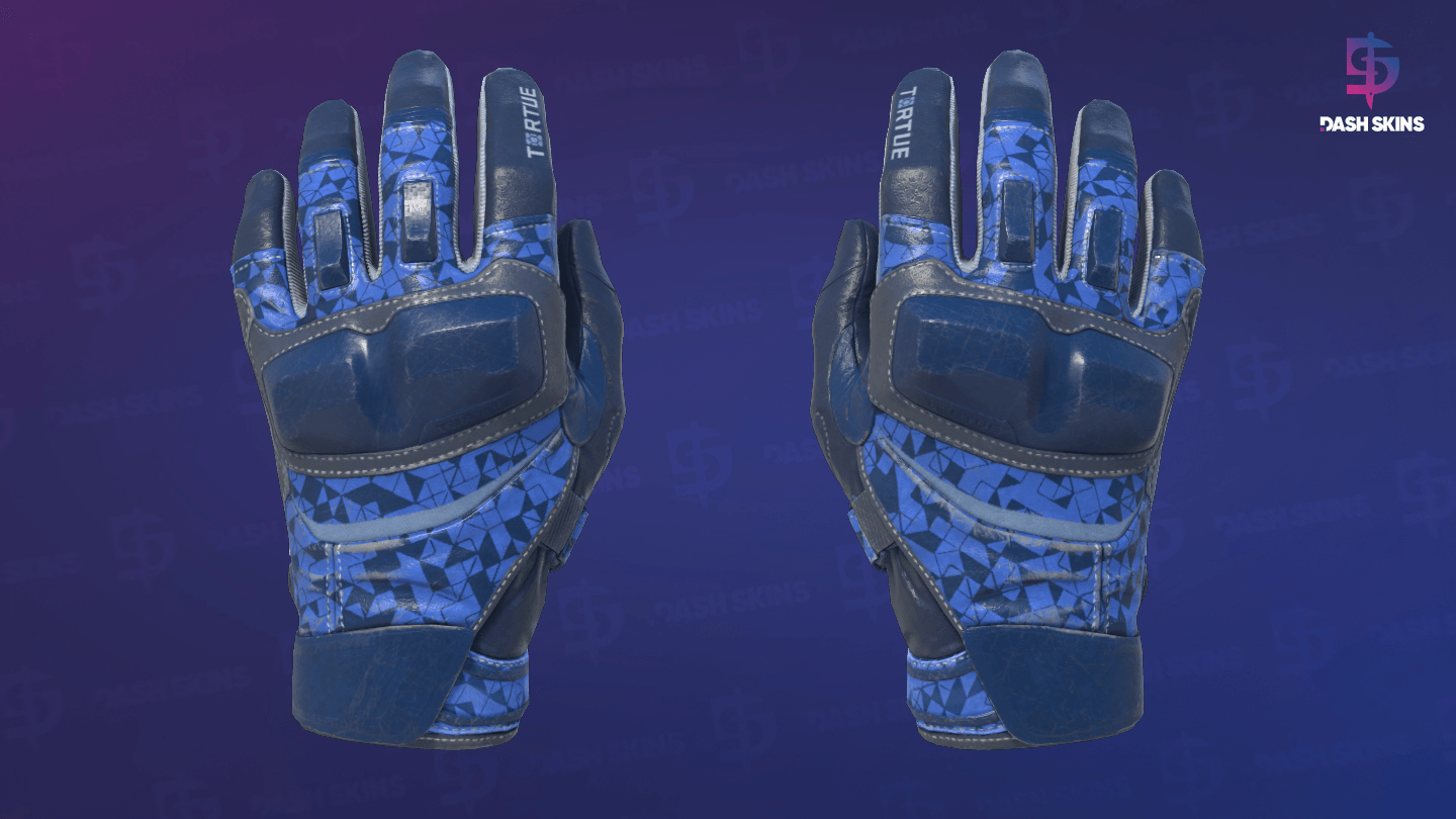 ★ Moto Gloves | Polygon (Field-Tested) Screenshot Playside