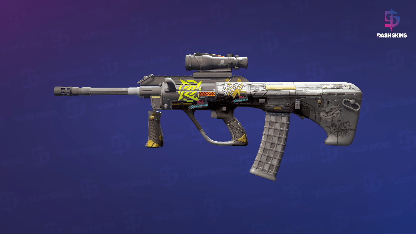 StatTrak™ AUG | Tom Cat (Field-Tested) Screenshot Playside