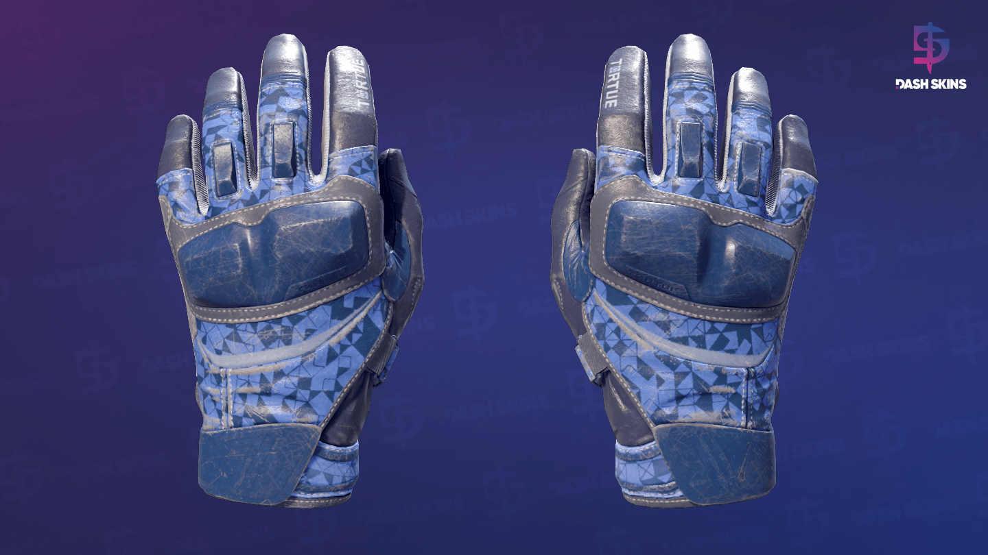 ★ Moto Gloves | Polygon (Field-Tested) Screenshot Playside