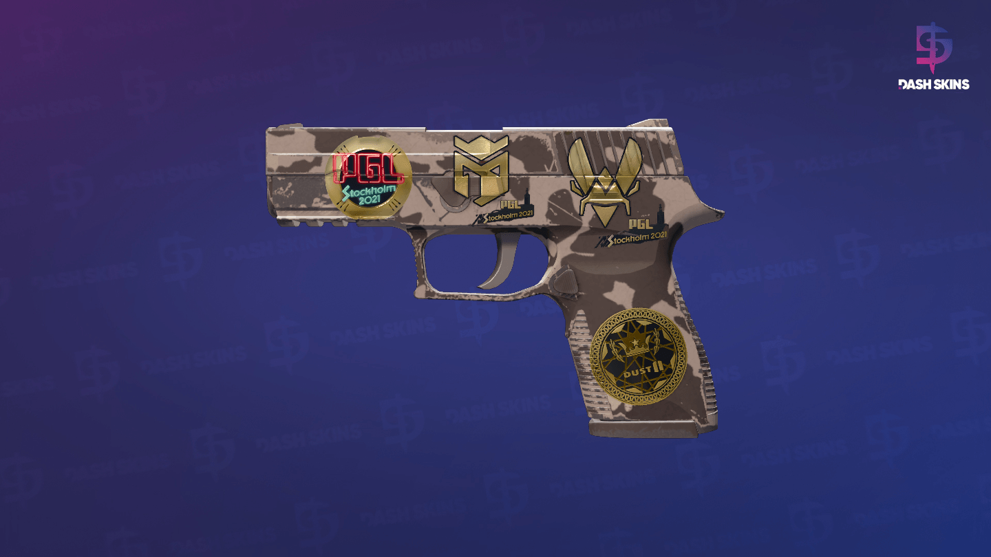 Souvenir P250 | Black & Tan (Field-Tested) Screenshot Playside